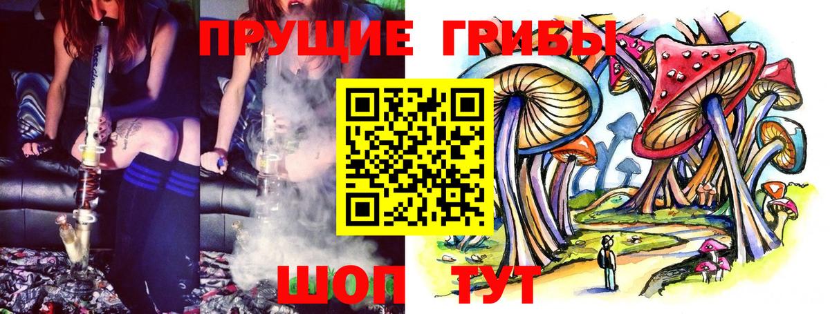 Люберцы  Псилоцибиновые грибы MAGIC MUSHROOMS  Вход с VPN 