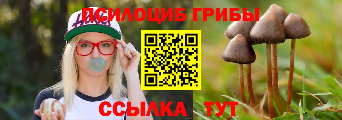 Галлюциногенные грибы мицелий Люберцы